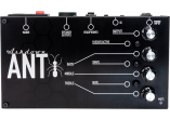 200w bass amp in pedal format