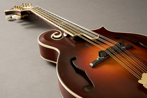 M-300 Archtop Mandolin Pickup