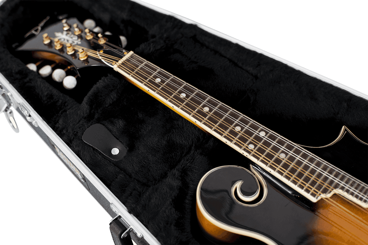 GC-MANDOLIN mandolin case