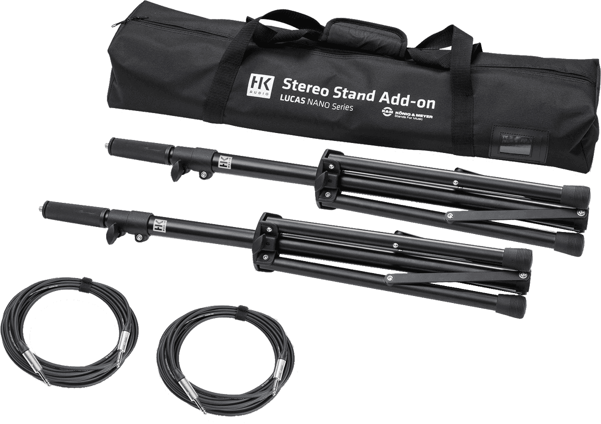 Bag, 2 K&M stands, 2 jack cables