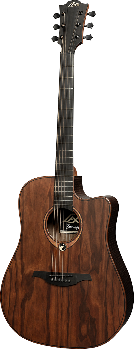 Dreadnought Cutaway Acoustic-Electric