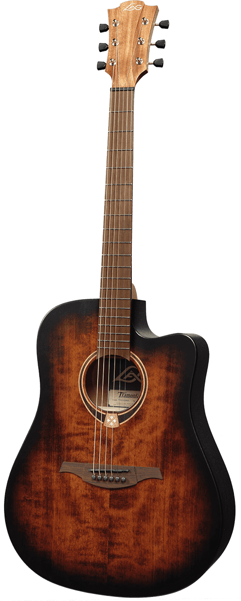 Dreadnought Cutaway Electro Black & Brown