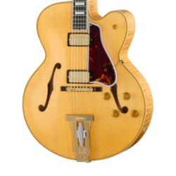 Hollowbody